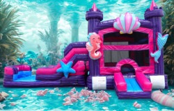 Pink/Purple Palace (DRY)